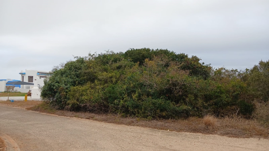 0 Bedroom Property for Sale in Merryhill Eastern Cape